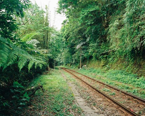 台湾流浪指南 & 胶片浪费计划