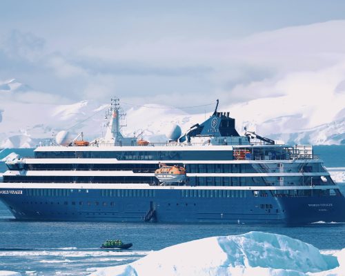 从南极回来了，明年还想再去