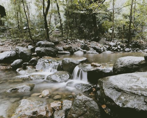 这一次，走进王维的诗里。